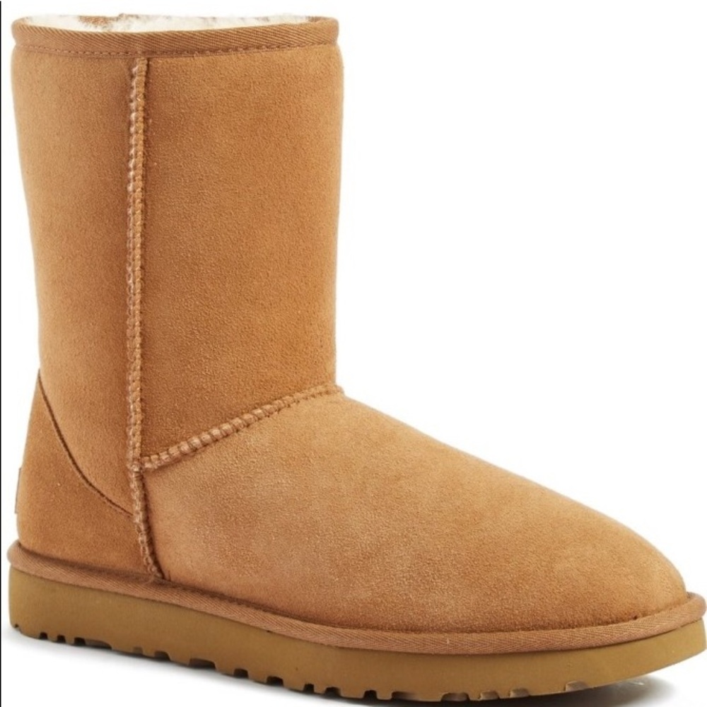 Classic Ugg Chestnut Color